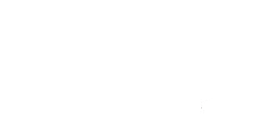 Church of Abundant Life Ministries